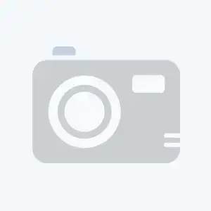 <h4>Bougainvillea glabra 'Sanderiana'</h4>